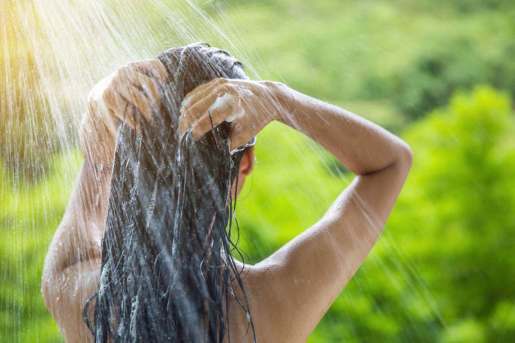 Descubre los Mejores Ingredientes Naturales para el Cuidado del Cabello