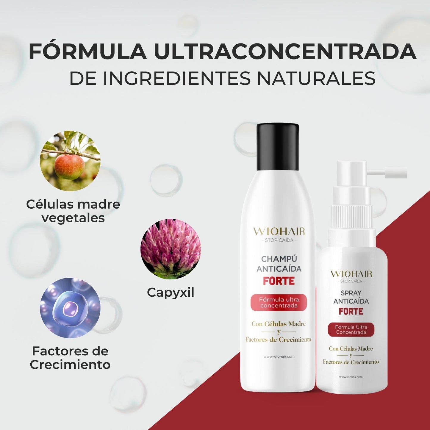 TRATAMIENTO DIARIO DE CAÍDA LEVE O MANTENIMIENTO - 1 Mes | CLUB ORO