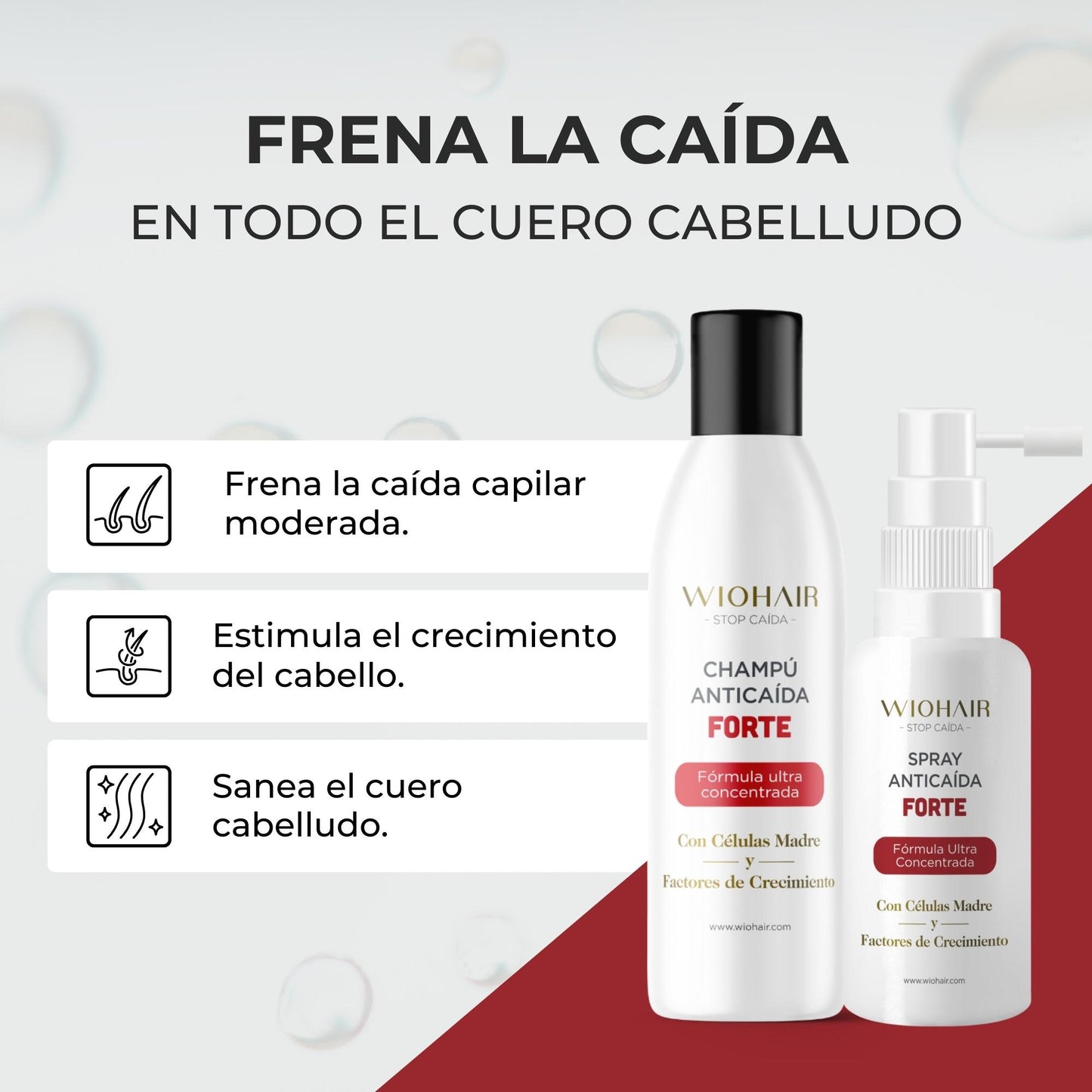 TRATAMIENTO DIARIO DE CAÍDA LEVE O MANTENIMIENTO - 1 Mes | CLUB ORO