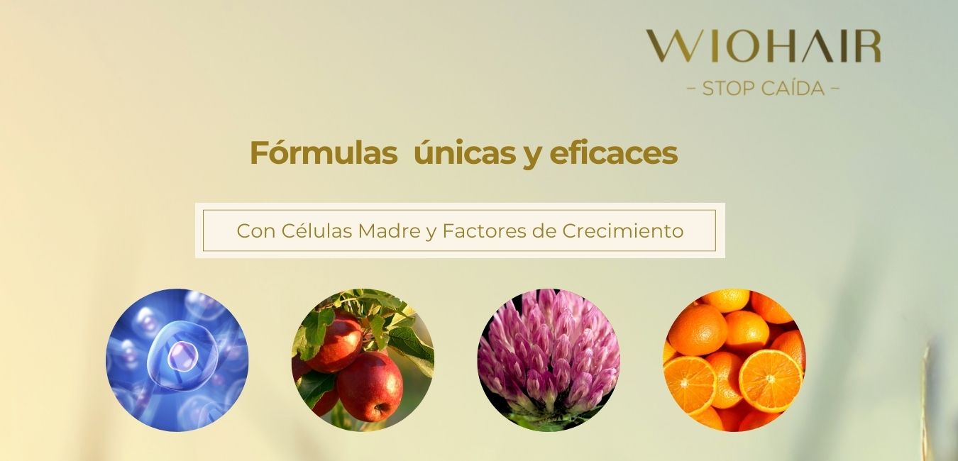 un banner con 4 iconos, en el primero salen factores de crecimiento, en el segundo salen dos manzanas, en el tercero unas flores y en el cuarto unas naranjas