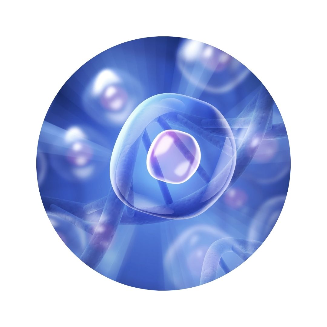 Imagend e como se verían los factores de crecimiento si los miramos a través de un telescopio.