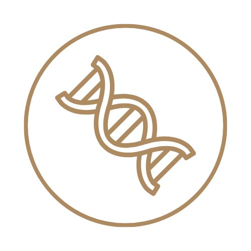 icono que representa los factores genéticos.