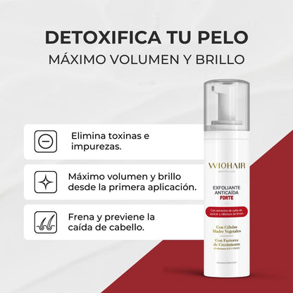 Rutina Cuidado Capilar - 1 Mes