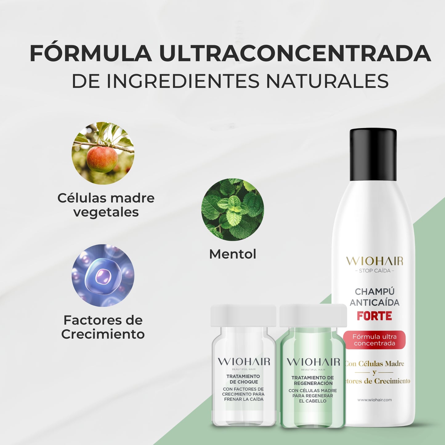 Rutina Cuidado Capilar - 1 Mes