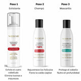 Rutina Cuidado Capilar - 3 Pasos (1 Exfoliante + 1 Champú Forte + 1 Mascarilla 150ml)